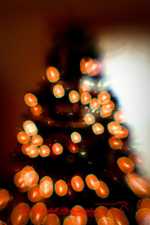 christmas-2009_02.jpg