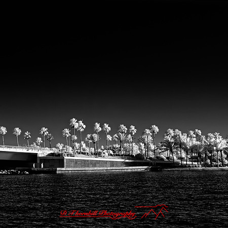 FL-March 2018-028_DxO