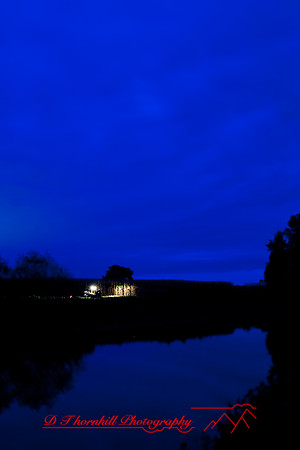 assorted_images-2008_11.jpg