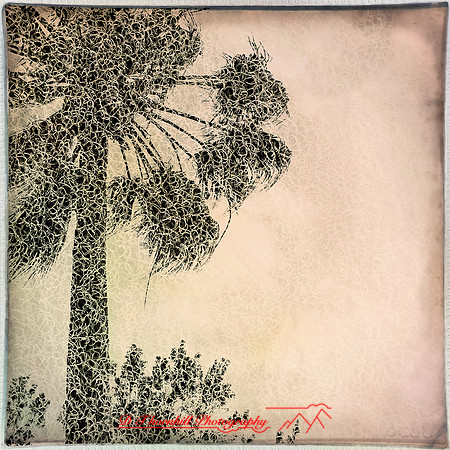 florida-march-2015-iphone-multi_exposure-001
