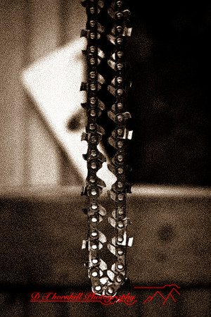 assorted_images-2011-189