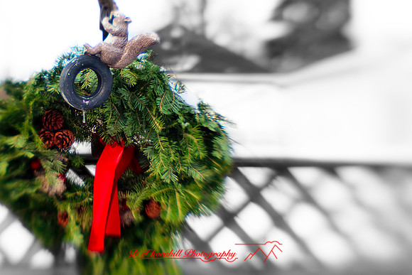 christmas-2009_03.jpg