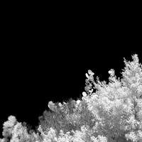 florida-2014-infrared-007