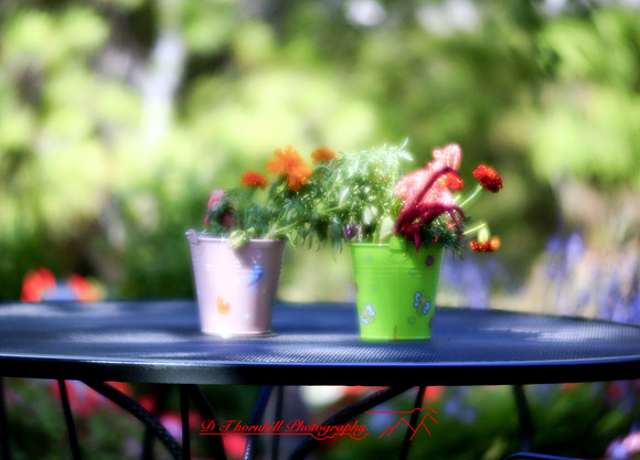 assorted-images-2006_023