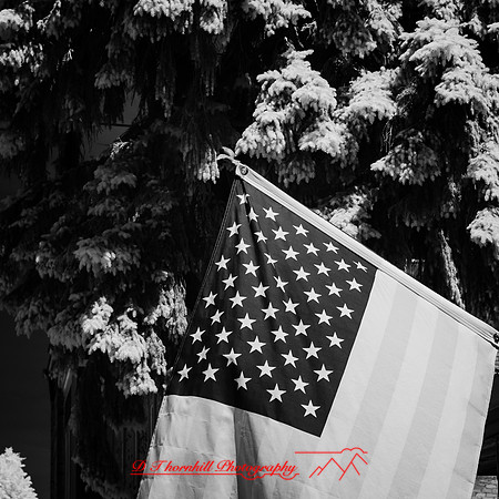 infrared-lexington-2018-003