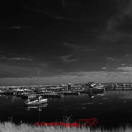 infrared-lexington-2018-019