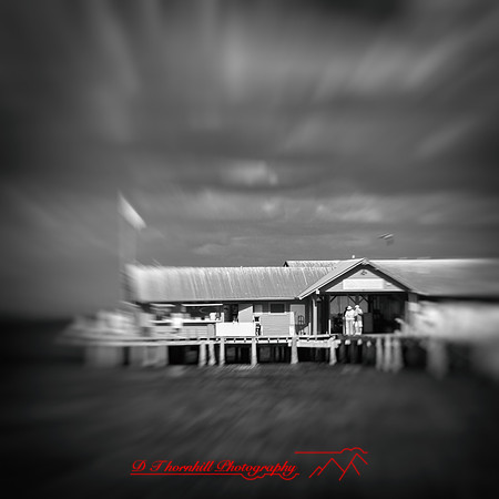 florida-nov-2014-infrared-020-nas