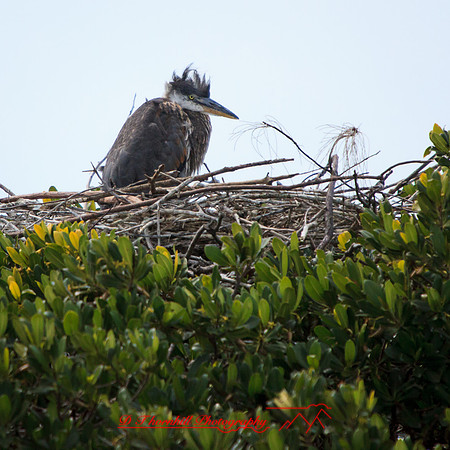 florida-2013-images-105