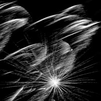 Bay City fireworks 2021 - 007_DxO