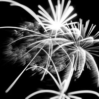 Bay City fireworks 2021 - 009_DxO