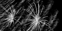 Bay City fireworks 2021 - 011_DxO