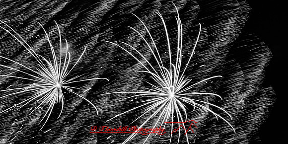 Bay City fireworks 2021 - 011_DxO