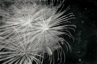 Bay City fireworks 2021 - 017_DxO