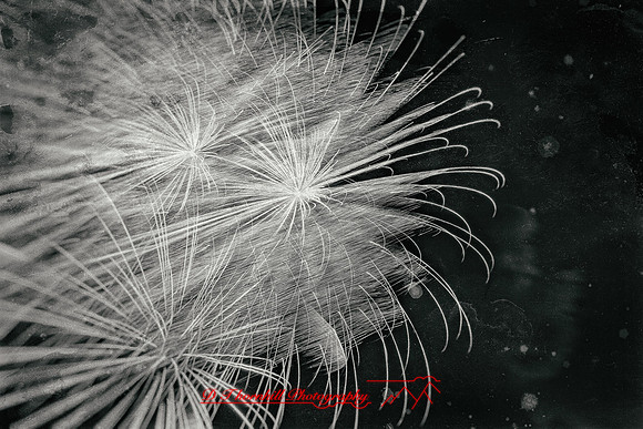 Bay City fireworks 2021 - 017_DxO