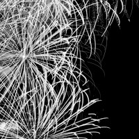 Bay City fireworks 2021 - 019_DxO