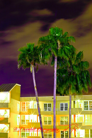 florida-2009-images_02.jpg