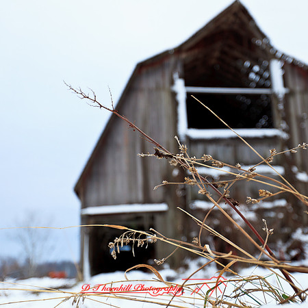 assorted_images-2012-162