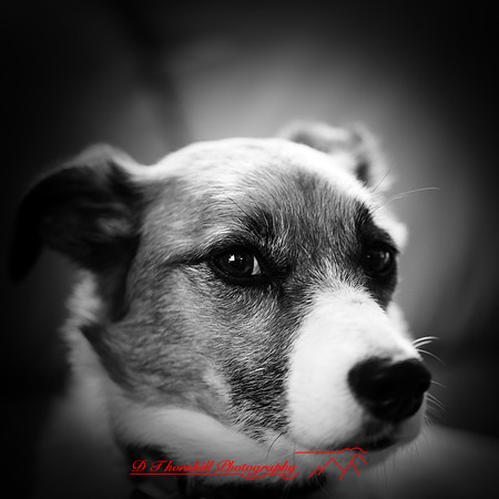 galesburg-images-2018-004-n-l-as