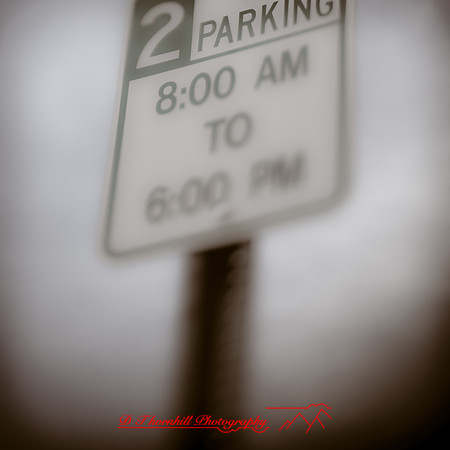 assorted-images_2013-012