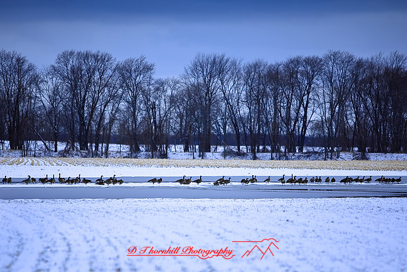 shiawassee-feb-2009_01.jpg