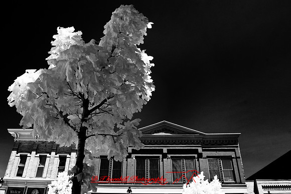 bay_city-infrared-2008_29