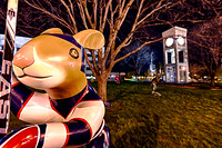 assorded_images-2012_6-01_HDR