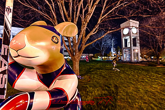 assorded_images-2012_6-01_HDR