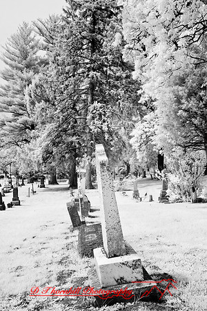 infrared-2008_053