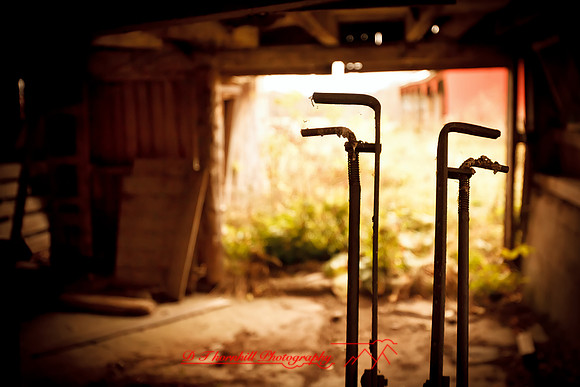 assorted_images-2011-64-nas