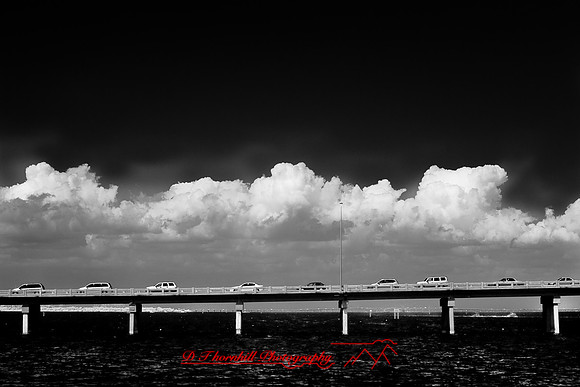 florida-2009-images-infrared_19.jpg