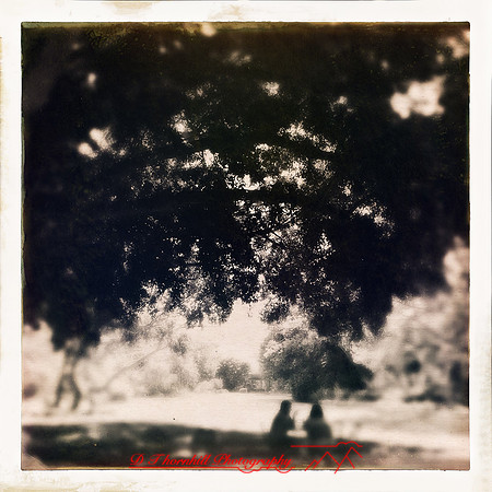 florida-2014-iphone-people-020