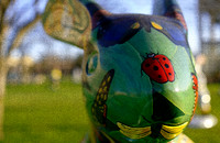 assorted-images-2006_57