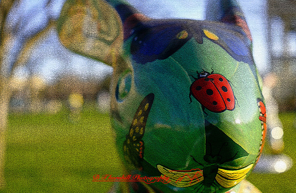 assorted-images-2006_57