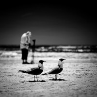 FL-March 2018-101-n-l-as_DxO