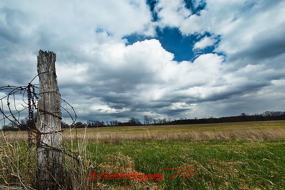 assorted_images-2011-35-nik