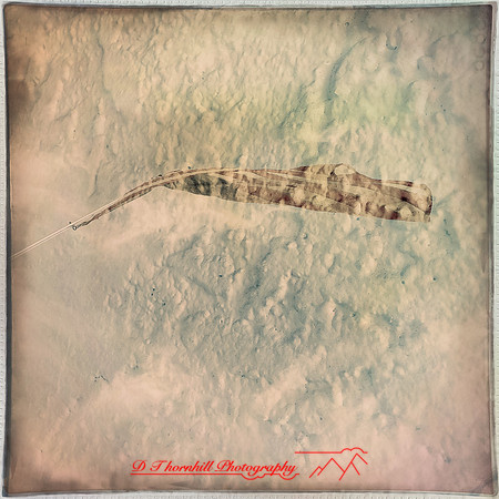 florida-march-2015-iphone-multi_exposure-013