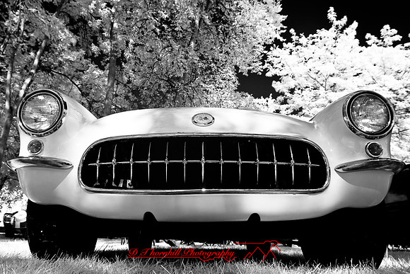 muth-car-show-infrared-2008_44
