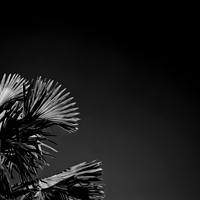 FL-March 2018-187_DxO