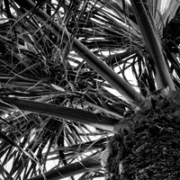 FL-March 2018-189_DxO