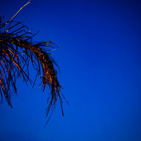 FL-March 2018-194-n-l-as