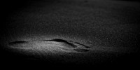 FL-March 2018-195_DxO