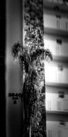 FL-March 2018-192_DxO