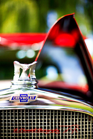 frankenmuth_auto-2007-55