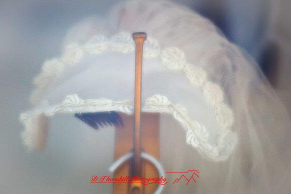 assorted-images-2010_030