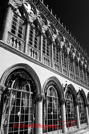 florida-2008-images-infrared_35.jpg