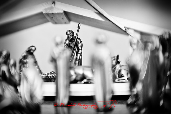 infrared-2009-christmas_08-nik.jpg