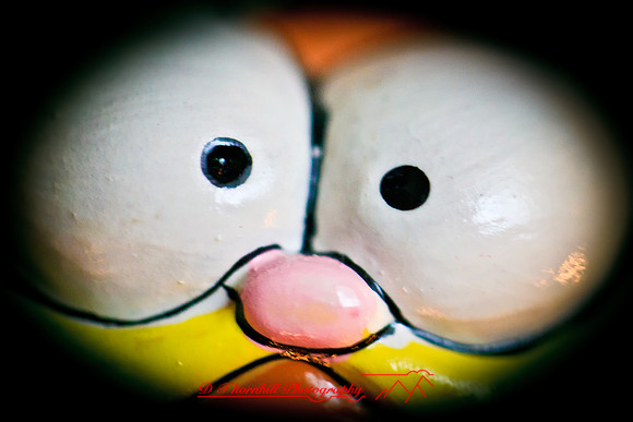 assored_images-2011-028-nik