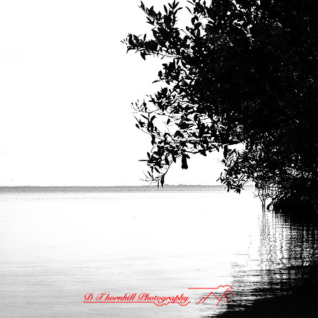 florida-march-2016-030