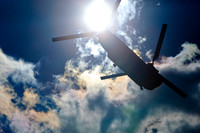 assorted-images-2010_026