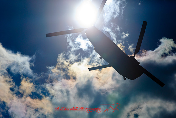 assorted-images-2010_026